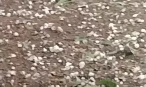 छाछेड़ी गांव में तेज आंधी के साथ ओलावृष्टि, गेहूं और चने की फसल को नुकसान