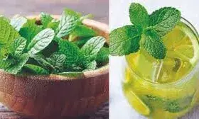 गर्मियों में घर पर बनाएं ठंडक भरा पुदीना शरबत