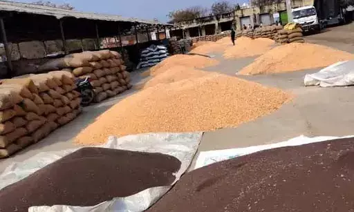 बिजौलिया मंडी में अव्यवस्थाओं का अंबार, मक्का बेचने पहुंचे किसान हो रहे बेहाल