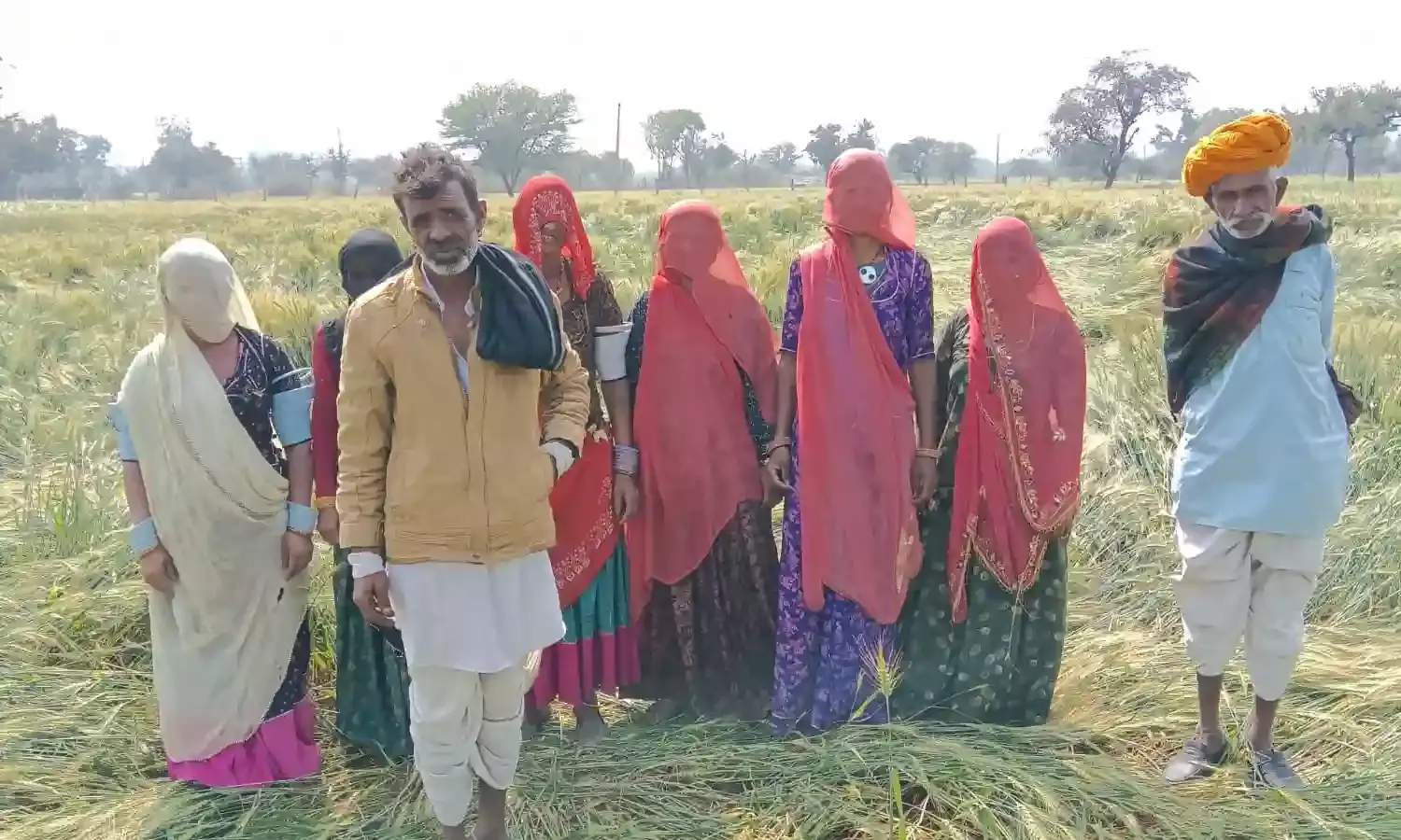 मोचियों खेड़ा में तेज़ हवा के कारण गेहूं चना सहित फसलों हुए नुकसान