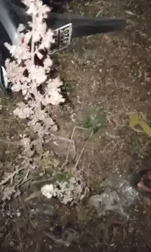 झालावाड़: बोलेरो-बाइक की भीषण भिड़ंत में 4 की मौत, एक ही बाइक पर सवार थे चारों मृतक झालावाड़: बोलेरो-बाइक की भीषण भिड़ंत में 4 की मौत, एक ही बाइक पर सवार थे चारों मृतक