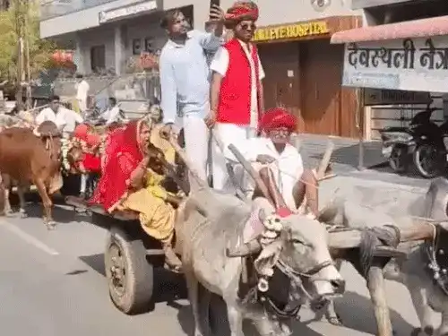 भीलवाड़ा: लग्जरी कारों के दौर में बैलगाड़ियों पर निकला मायरा, पुरानी परंपराओं की दिखी झलक