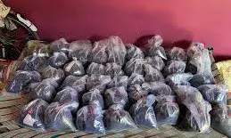 चित्तौड़गढ़: नारकोटिक्स विभाग की बड़ी कार्रवाई, एक क्विंटल डोडा-चूरा और अफीम बरामद; तस्कर फरार