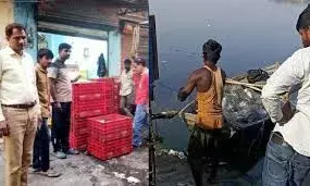 आधी रात छापेमारी, आनासागर से 400 किलो अवैध मछली बरामद