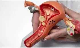 सावधान: पतियों की ये 3 आदतें बढ़ा सकती हैं पत्नियों में सर्वाइकल कैंसर का खतरा