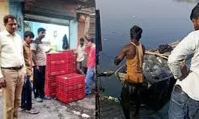 आधी रात छापेमारी, आनासागर से 400 किलो अवैध मछली बरामद