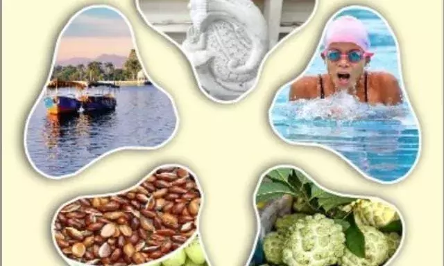 पंचायत समिति स्तर पर पंच गौरव मेला व प्रदर्शनी 25 व 26 को तैयारियां पूर्ण