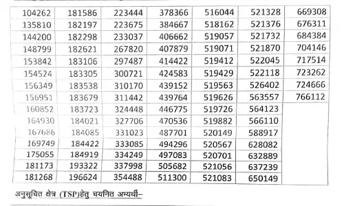 सीधी भर्ती पटवार प्रतियोगी परीक्षा-2025: जिले को मिले 99 नव चयनित पटवारी, 26 फरवरी को प्रशिक्षण केन्द्र पर करेंगे कार्यग्रहण