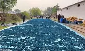 बारां में पुलिस का बड़ा एक्शन: 40 करोड़ के अवैध पटाखों का जखीरा जब्त, तीन गोदामों से मिला 2.3 लाख किलो विस्फोटक