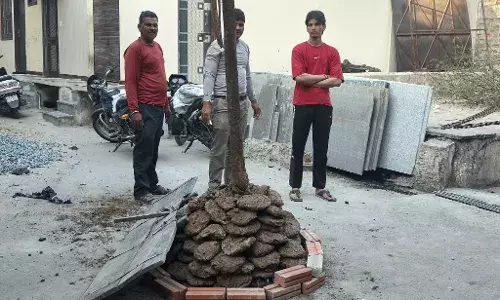 पुर में आचार्य समाज ने गोबर के कंडों से की होली की स्थापना