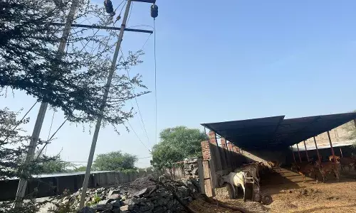 सरेरी स्थित श्री बजरंग गोपाल गौशाला में 33 केवी लाइन के जर्जर पोल से गौवंश पर मंडरा रहा खतरा