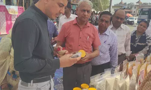 उदयपुर: पंच गौरव मेले में उमड़ा जनसैलाब, मार्बल से महुआ तक बिखरी मेवाड़ की पहचान