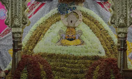 फाल्गुनी एकादशी पर रथ में विराजकर नगर भ्रमण करेंगे बाबा श्याम, श्रृंगार के लिए देश-दुनिया से आए फूल