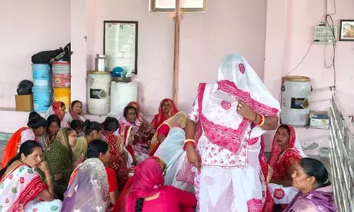 फागो उत्सव मनाया