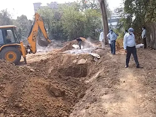 पटना में बर्ड फ्लू का तांडव: 10 हजार से अधिक मुर्गियां दफनाईं, हाईकोर्ट और चिड़ियाघर समेत कई इलाके डेंजर ज़ोन घोषित