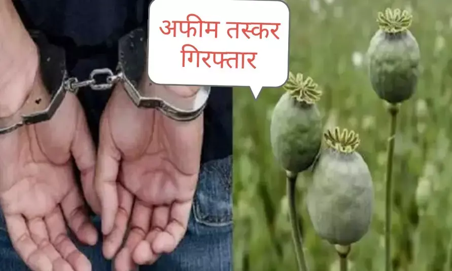 चित्तौड़गढ़: ANTF की बड़ी कार्रवाई, 12 लाख की अवैध अफीम के साथ तस्कर गिरफ्तार