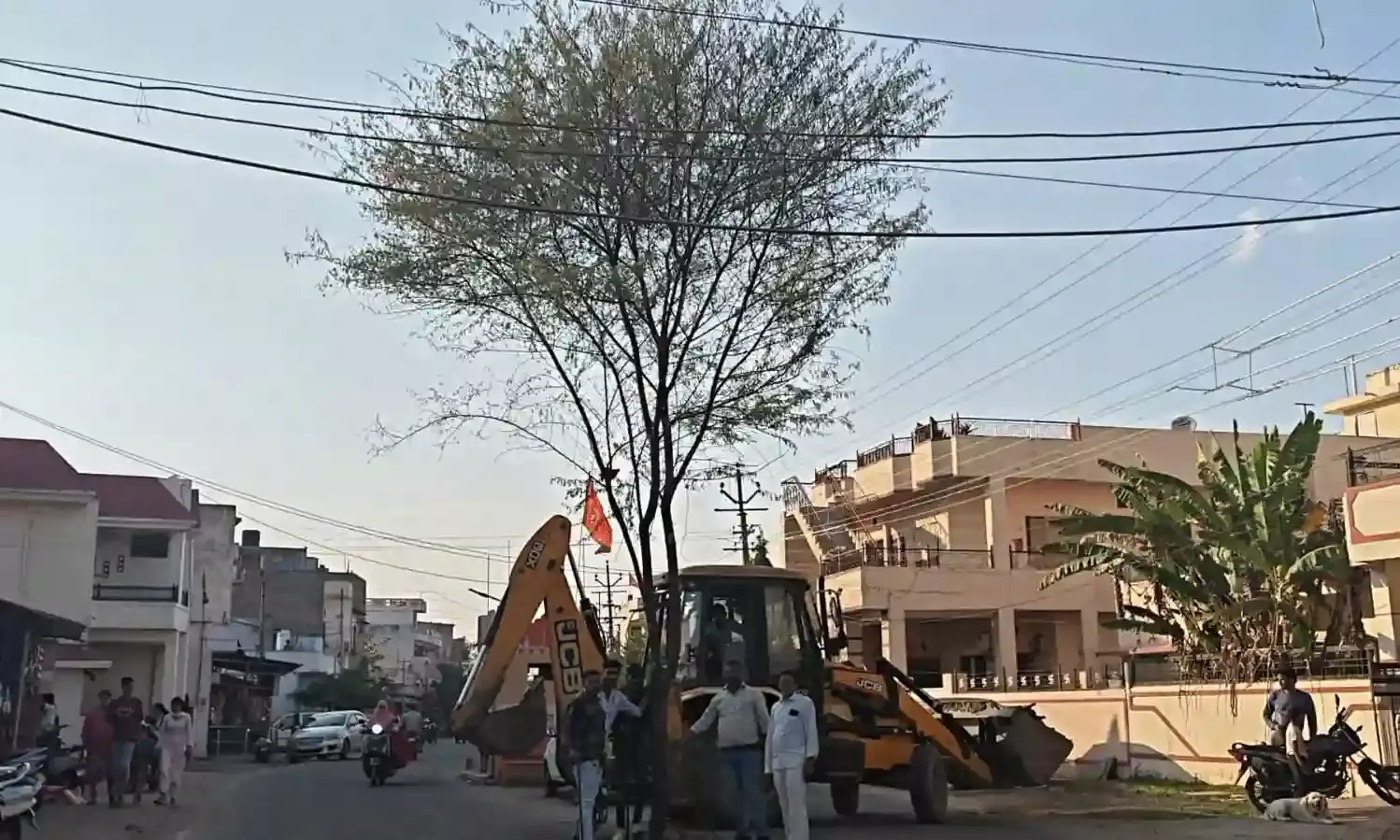 गली-मोहल्लों में सजने लगे होली के डांडे, पर्व की तैयारियां शुरू, रंग गुलाल की हो रही ब‍िक्री