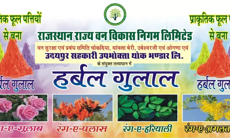 सुरक्षित होली, खुशहाल प्रकृति: हर्बल गुलाल से मनाएं रंगों का त्योहार, स्वयं और पर्यावरण का रखें ख्याल सुरक्षित होली, खुशहाल प्रकृति: हर्बल गुलाल से मनाएं रंगों का त्योहार, स्वयं और पर्यावरण का रखें ख्याल