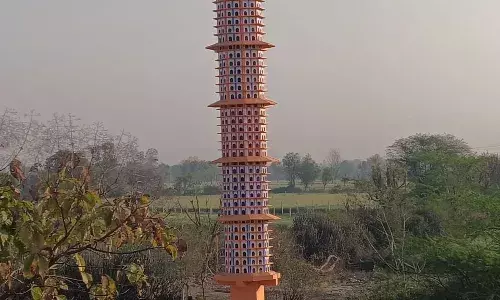 चंवरा के बालाजी में 6.5 मंजिला विशाल पक्षी घर बनकर हुआ तैयार