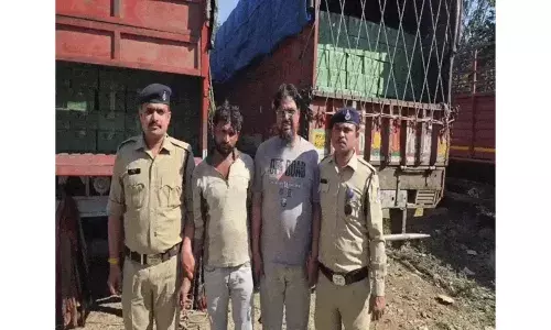 एक ही परमिट पर दौड़ रहीं दो गाड़ियां, 80 लाख की अवैध बीयर जब्त