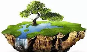 फाइलों में लहलहा रहा राजस्थान: 2 साल में 5 करोड़ पौधे लगाने का दावा, पर धरातल पर अब भी हरियाली का इंतजार