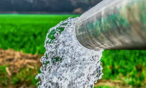 सिंचाई पाइपलाइन और फार्म पौंड पर अनुदान के लिए दोबारा शुरू हुए आवेदन, 31 मार्च अंतिम तिथि