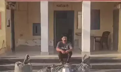 पंडेर पुलिस की बड़ी कार्रवाई: पंजाब जा रहे ट्रक से 15 लाख का डोडा चूरा जब्त, चालक गिरफ्तार