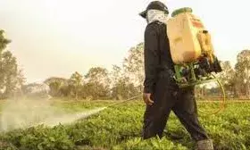 खेत में कीटनाशक छिड़काव के दौरान गैस चढ़ने से युवती की मौत