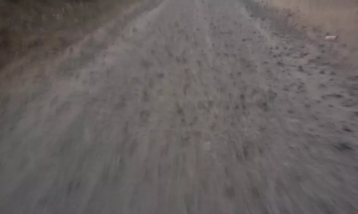 जसवंतपुरा-बालेसरिया सड़क कार्य दो माह से ठप, उड़ती धूल और उछलती गिट्टियों से ग्रामीण बेहाल