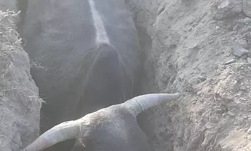 शारदा चौराहे से 200 फीट रोड पर मौत के गड्ढे, टेलिकॉम कंपनियों की लापरवाही से राहगीर परेशान