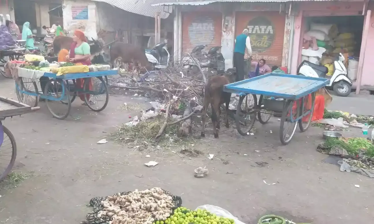 अधजली होली बनी आफत: सब्जी मंडी में रास्ता जाम, निगम बेपरवाह, लोगों में भारी आक्रोश