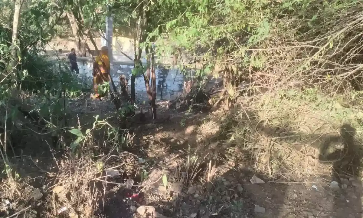 जिला कलक्टर के निर्देश पर पांडल पोल झरना क्षेत्र में सफाई अभियान प्रारंभ