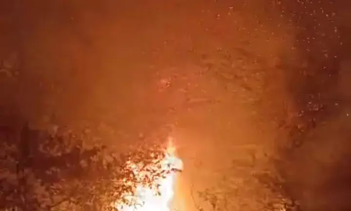 सगस जी की रड़ी के पास झाड़ियों में लगी भीषण आग, ग्रामीणों और दमकल की मुस्तैदी से टला बड़ा हादसा