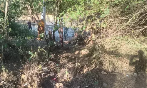 जिला कलक्टर के निर्देश पर पांडल पोल झरना क्षेत्र में सफाई अभियान प्रारंभ जिला कलक्टर के निर्देश पर पांडल पोल झरना क्षेत्र में सफाई अभियान प्रारंभ