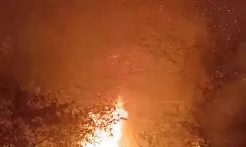 सगस जी की रड़ी के पास झाड़ियों में लगी भीषण आग, ग्रामीणों और दमकल की मुस्तैदी से टला बड़ा हादसा