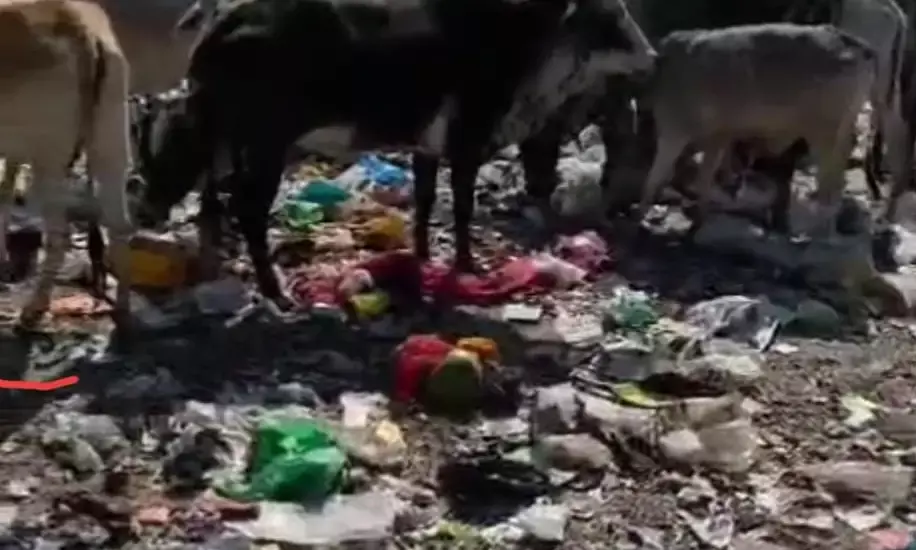 गो भक्तों ने कचरा स्टैंड पर चारदीवारी बनाने की की मांग