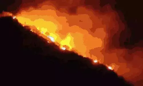 उदयपुर की पहाड़ियों में काल बनी आग: रतलाम के पर्यटक की दम घुटने से मौत, बाहुबली हिल का 3 हेक्टेयर हिस्सा राख