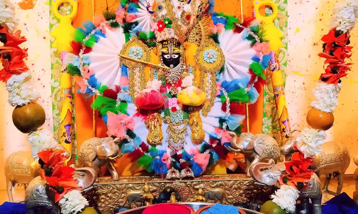 कोटड़ी श्याम दरबार: शीतलाष्टमी पर उमड़ा आस्था का सैलाब, मंगला आरती में हुए दिव्य दर्शन