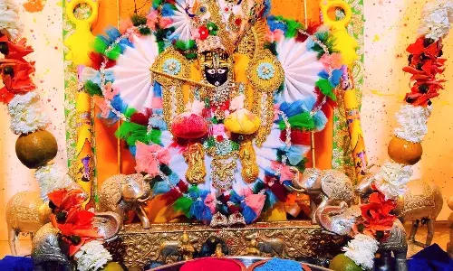 कोटड़ी श्याम दरबार: शीतलाष्टमी पर उमड़ा आस्था का सैलाब, मंगला आरती में हुए दिव्य दर्शन