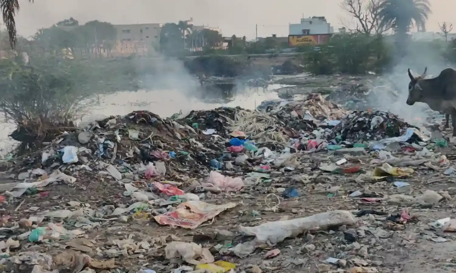 धुएं के गुबार में घुट रही सांसें, जिला अस्पताल के पीछे कचरा जलाने से लोग परेशान