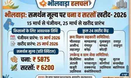 समर्थन मूल्य पर खरीद: 15 मार्च से चना-सरसों का पंजीयन, 25 मार्च से शुरू होगी तुलाई