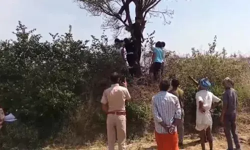 खेत में पेड़ से लटका मिला व्यक्ति का शव, गांव में फैली सनसनी