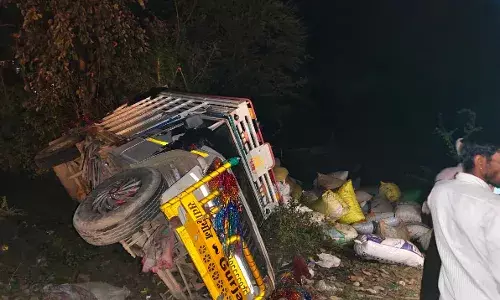 गाय को बचाने के प्रयास में पिकअप पलटी