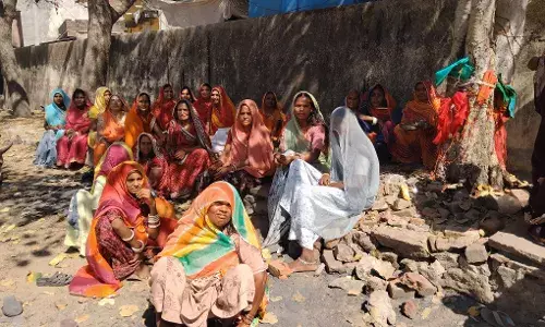 शक्करगढ़ में श्रद्धा और उल्लास के साथ मनाया गया दशा माता का पर्व, महिलाओं ने की पीपल की पूजा