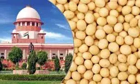 पीली मटर आयात मामला: सुप्रीम कोर्ट ने केंद्र से मांगी नई कृषि नीति, कहा—धान-गेहूं की मानसिकता बदलें किसान