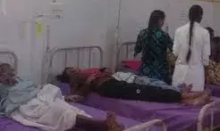 पूजन के दौरान मधुमक्खियों का हमला, दूल्हा-दुल्हन समेत 16 घायल