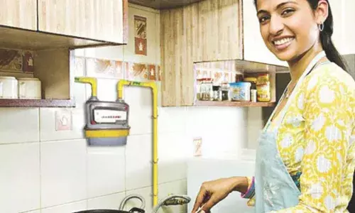 बड़ी खबर: जिनके पास PNG कनेक्शन है, उन्हें सरेंडर करना होगा घरेलू LPG सिलेंडर; सरकार ने जारी किए सख्त आदेश