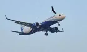 दुबई-अबू धाबी की कई उड़ानें रद्द, पश्चिम एशिया संघर्ष के बीच भारतीय एयरलाइंस की एडवाइजरी दुबई-अबू धाबी की कई उड़ानें रद्द, पश्चिम एशिया संघर्ष के बीच भारतीय एयरलाइंस की एडवाइजरी