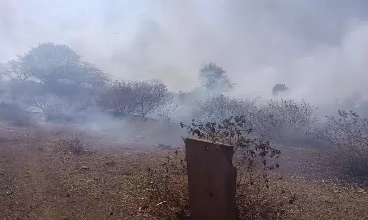 गिरधरपुरा के चरागाह में भीषण आग, वन्यजीवों में मची अफरा-तफरी गिरधरपुरा के चरागाह में भीषण आग, वन्यजीवों में मची अफरा-तफरी