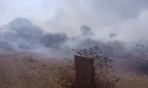 गिरधरपुरा के चरागाह में भीषण आग, वन्यजीवों में मची अफरा-तफरी